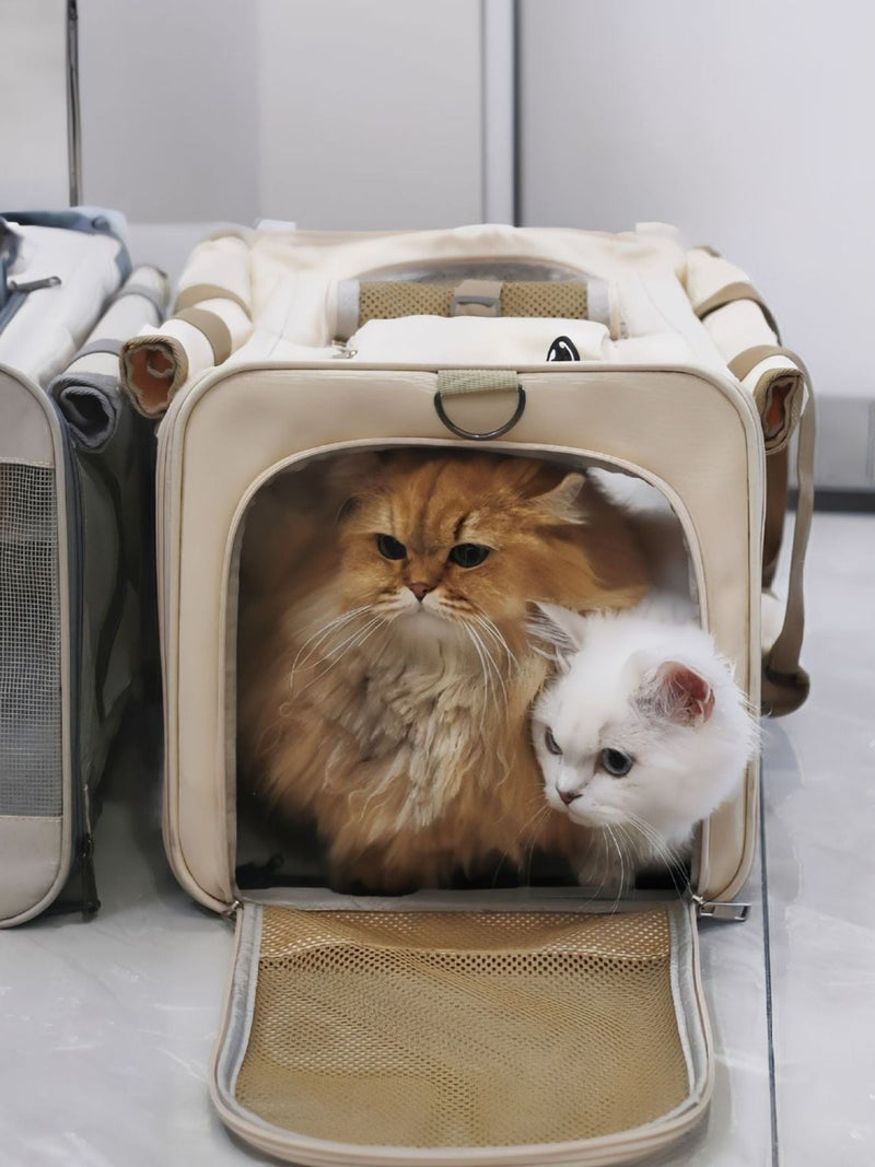 Carriers